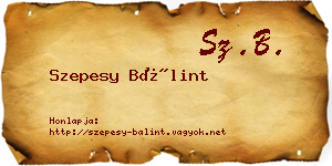 Szepesy Bálint névjegykártya